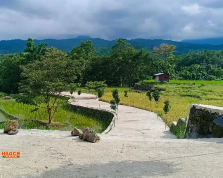 Jalur Trekking Tepian Sawah Curug Bengkawah Pemalang Source by KAMA JAYA IO