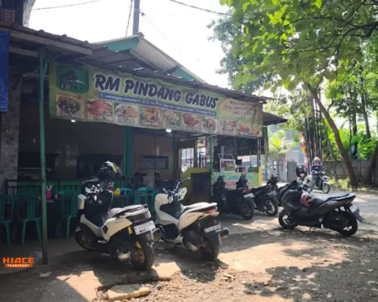 gabus pucung