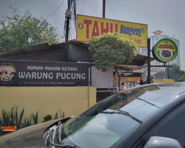 gabus pucung