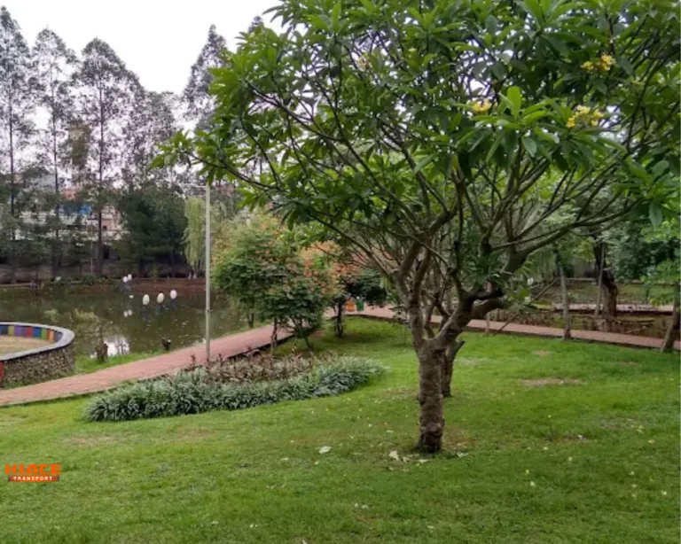 Area yang Luas Source by Abddulrohman sholeh